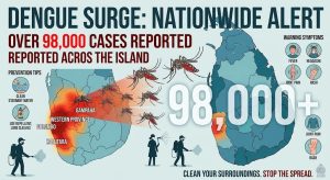 dengue cases in sri lanka